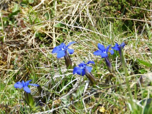 Appartements Charlotte