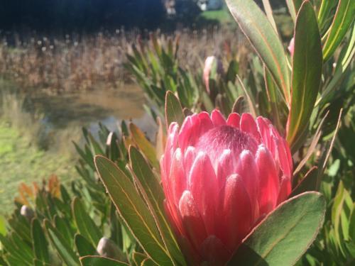 Creswick Cabin Retreat