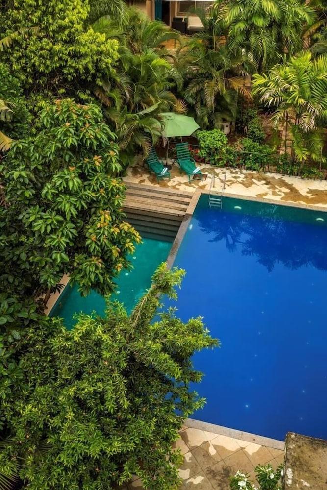 Serenity By The Origami Collection