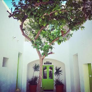 Lemon Tree Bed & Breakfast By Cx Collection