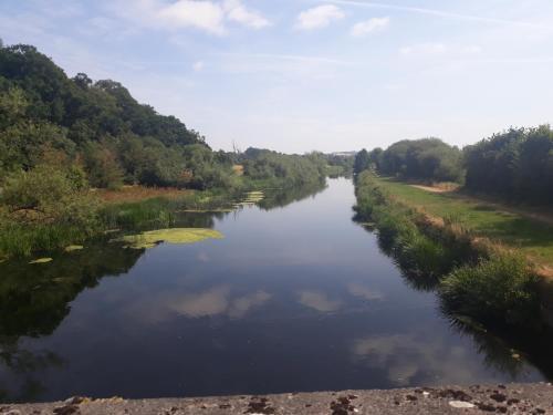 Matty's Pub Apartment