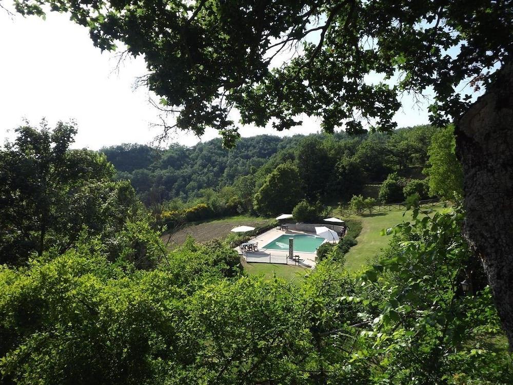 Cannabis Clinic & Restaurant